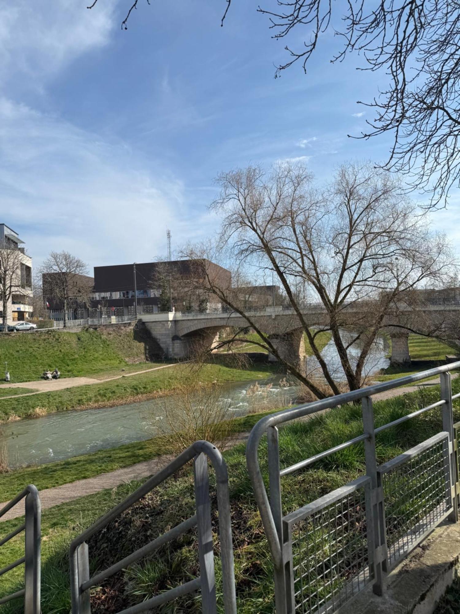 Secteur Rives De Meurthe Appartement